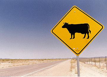 《仙剑7》实机测试：2K最高画质DLSS要60帧需3060 本体66GB